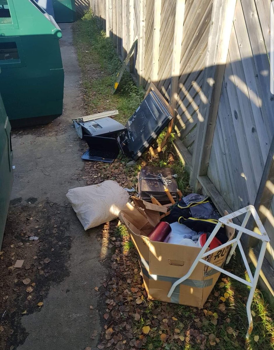 vildvittran tweet media