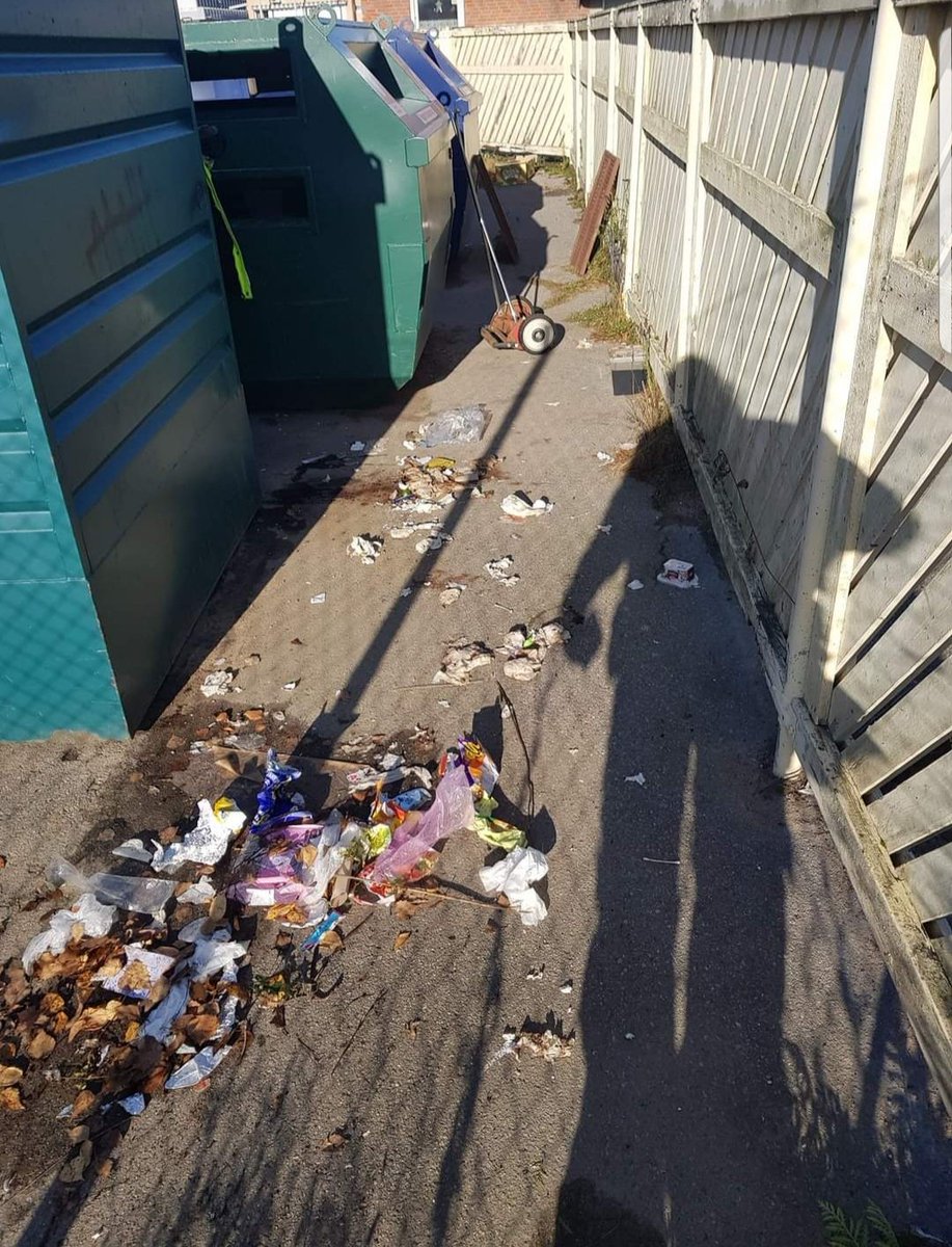 vildvittran tweet media