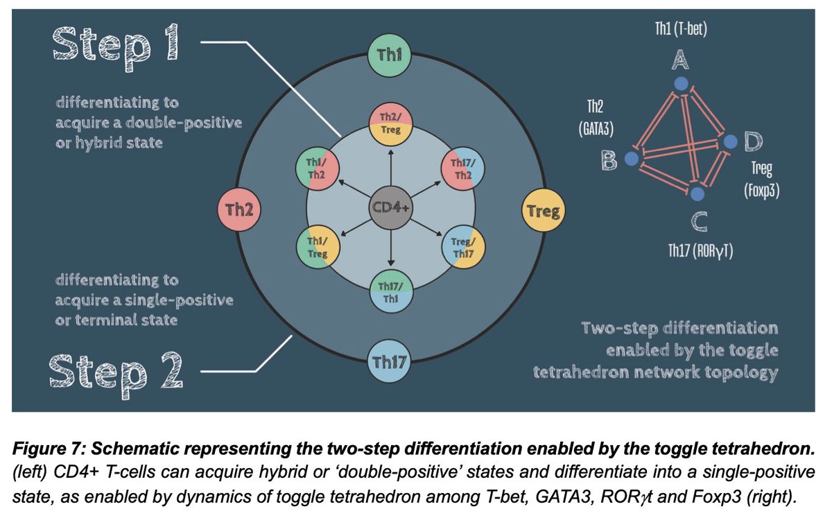Mohit Kumar Jolly tweet media
