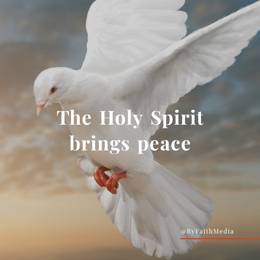 ByFaithMedia's tweet photo. God is peace 🕊️
#Peace #PeaceofGod #PowerofGod #PowerofPrayer #Pray #Prayer #Victory #VictoryinChrist #SpiritualWarfare #PaulBackholer #Jesus #Blessing #Blessed #Peace #Abundance #Renounce #Christian #ChristianArticle #BiblicalThinking #Bible #Scripture #HolySpirit #HolyGhost https://t.co/n4pAniMN4B