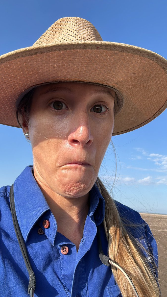 Las 📸 que me sacó vs las que les mando a mis amigas y se convierten en stickers