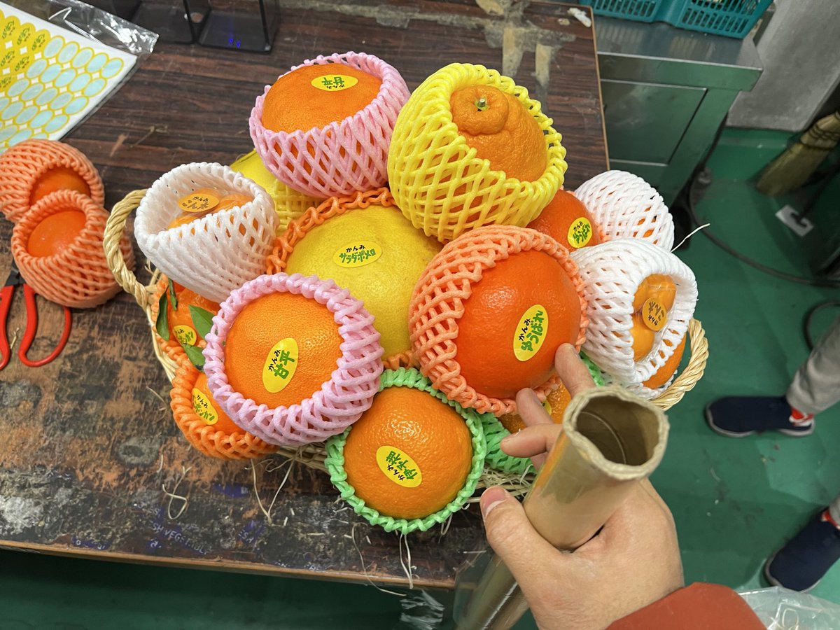 kanpeii's tweet photo. 柑橘だけの籠盛りを作って欲しいというオーダーがあったのでサンプル作ってみました👀 https://t.co/1kfr8p62Gz