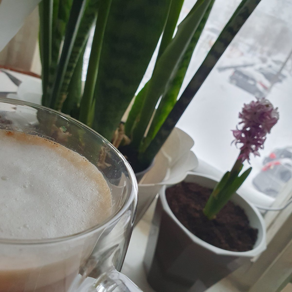 Svetarina 🌿🌷💜 tweet media