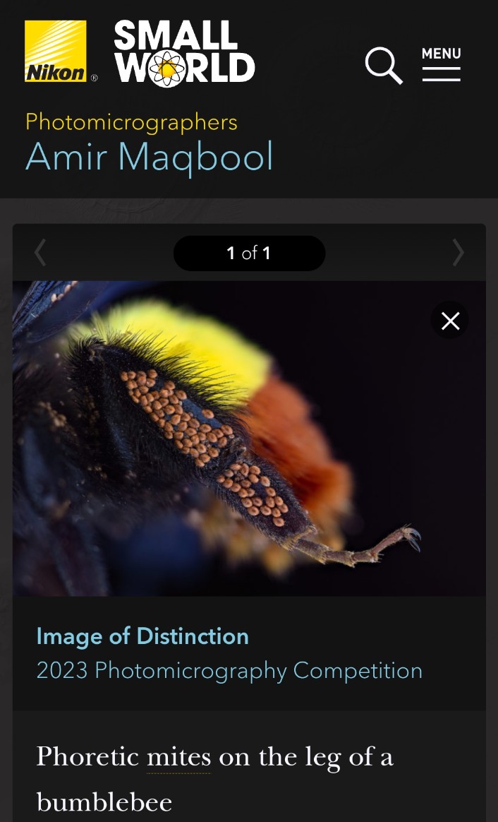 Amir Maqbool tweet media