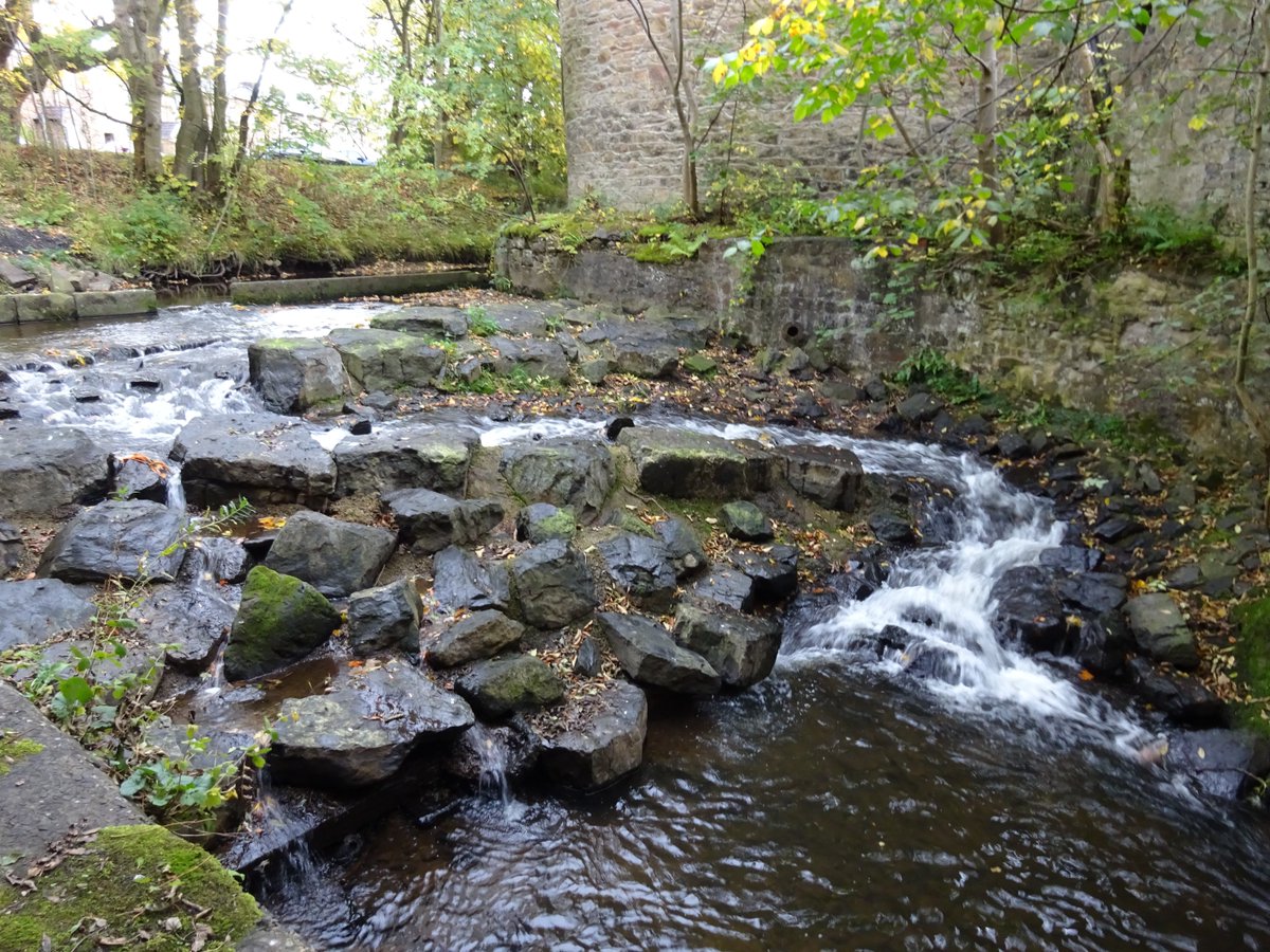 RibbleTrust's tweet image. #WeekendWalks Visit the beautiful village of Sabden and see our #NationalLotteryHeritageFund supported fish pass in the heart of the village on this 5.7 mile walk route.

ribbletrust.org.uk/wp-content/upl…