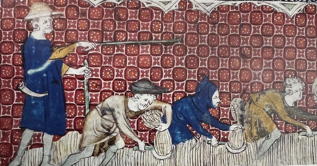 Pieter Spanoghe tweet media