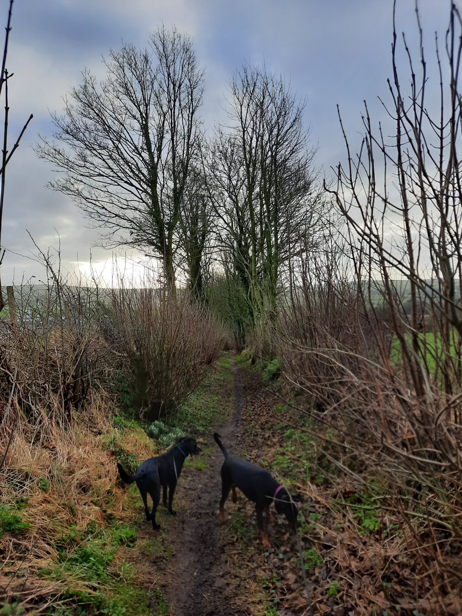 NotBadForHerAge's tweet photo. I like discovering new places, so after parkrun this morning, I walked the dogs along paths I'd never been down before. #alwaysexploring https://t.co/dESKz48W3Q