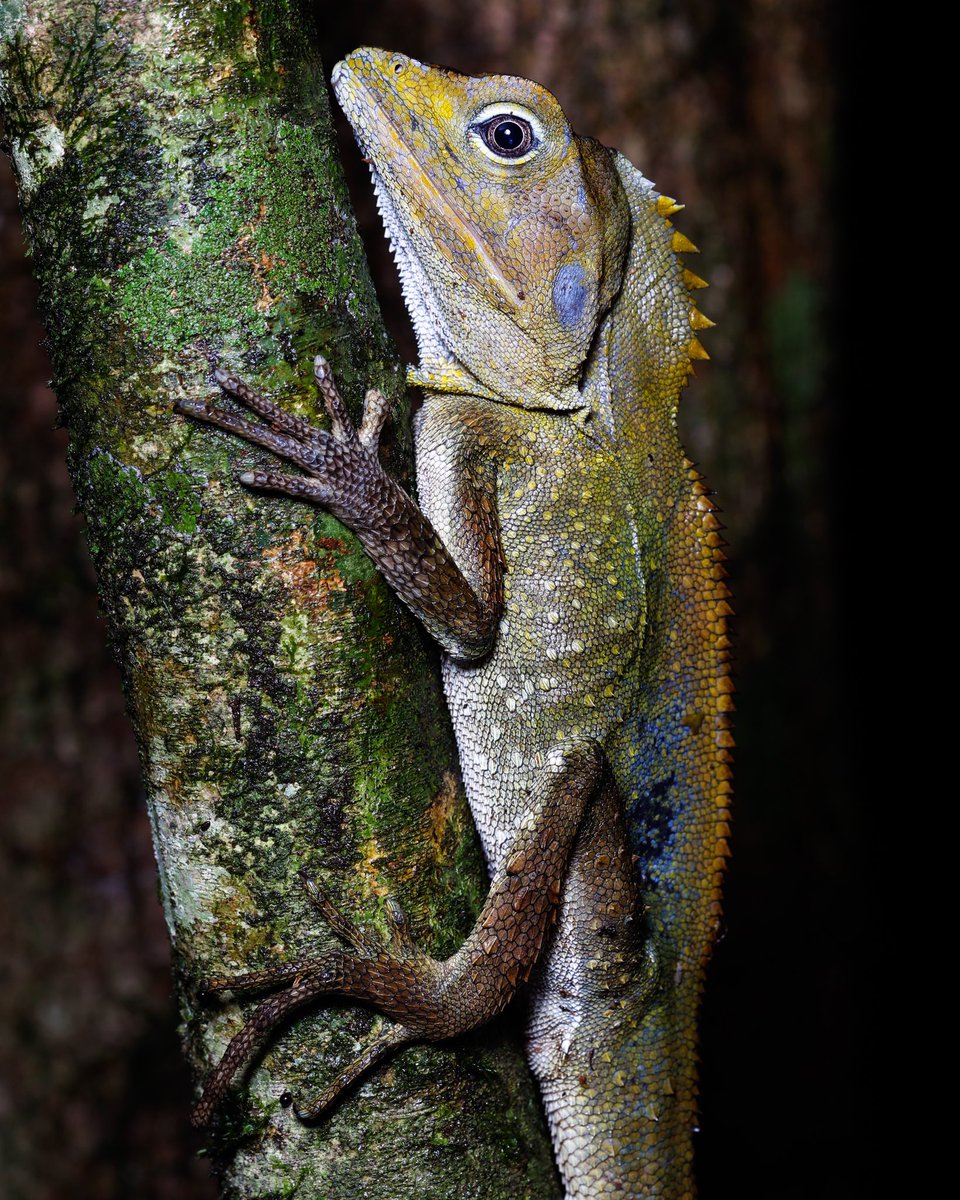 Dave Smith tweet media