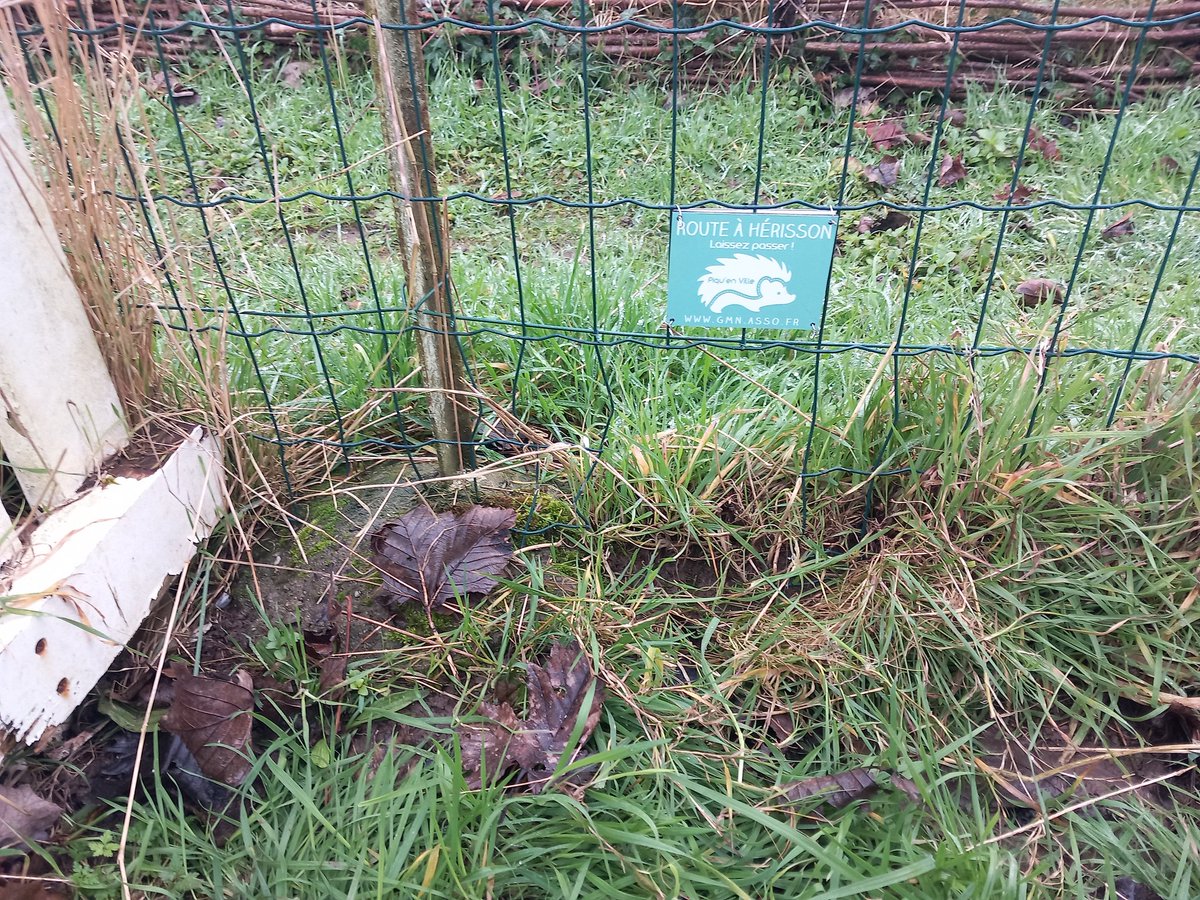 fguegueniat's tweet photo. Desormais @EpronRadio fait partie des 12 communes de Normandie inscrites dans le projet Piqu'en ville afin de favoriser les déplacements des hérissons dans le tissu urbain. #environment @NicolasKlatka @Caenlamer @Prefet14 @Ecologie_Gouv https://t.co/dLncC4Sr2A