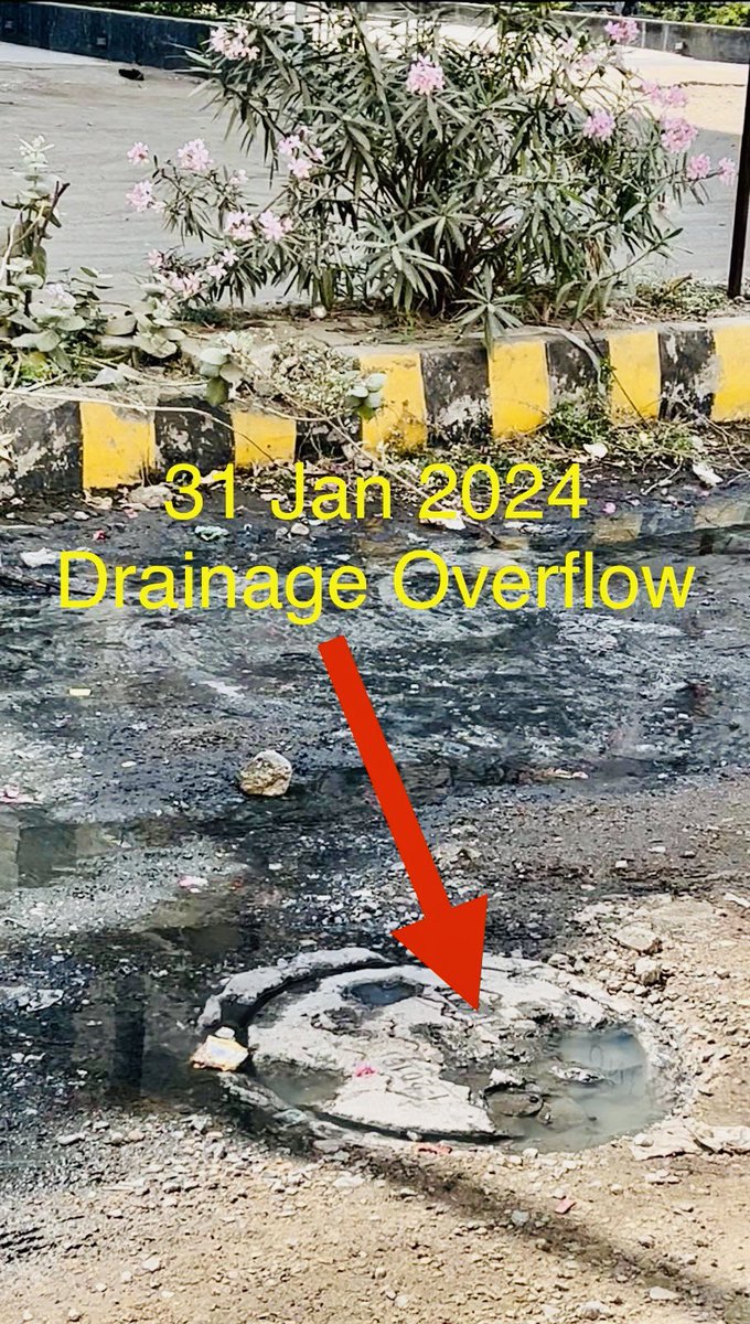 chandu9896's tweet photo. 🚨Urgent: For 20 days, drainage overflow persists in front of SPARSH RESIDENCY, Near Sterling Hospital, TP - 3, Bhayli. Despite repeated complaints, @VMCofficial only cleans the gutter superficially. We need a permanent solution! #BhayliDrainageIssue #Vadodara @CollectorVad https://t.co/jEdUyfiGv4