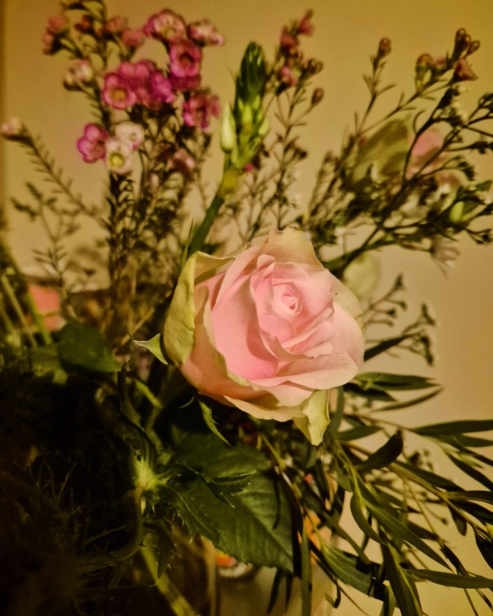 Karen_acts's tweet photo. Treated myself to some beautiful flowers from @BloomandWild πΈ #roses #seasonalflowers #prettypinks https://t.co/TInlDfhxmA