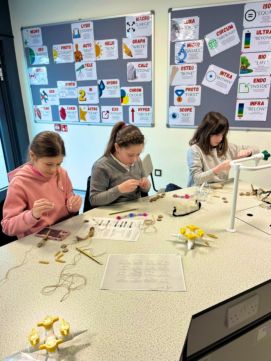 Cocurricular and Partnerships at NHSG tweet media