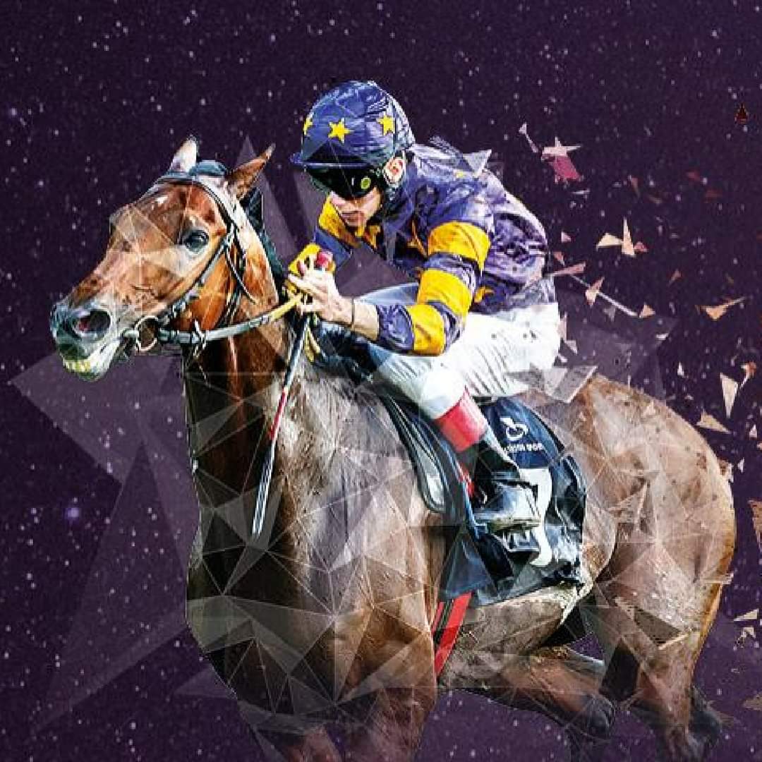 WolvesRaces's tweet photo. 🏇 𝐑𝐀𝐂𝐄𝐃𝐀𝐘 🏇

🏆 Saturday Night Racing
⏰ Gates open: 13:55
🐎 First race: 15:55
🎟️ Tickets available on the gate
📺 @SkySportsRacing

#WolvesRaces | #WOLSNR https://t.co/nVZrEyemBb