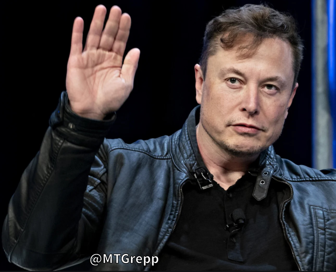 Elon Musk thinks Joe Biden is flooding America with illegal immigrants to get more votes

DO YOU AGREE WITH ELON ?
