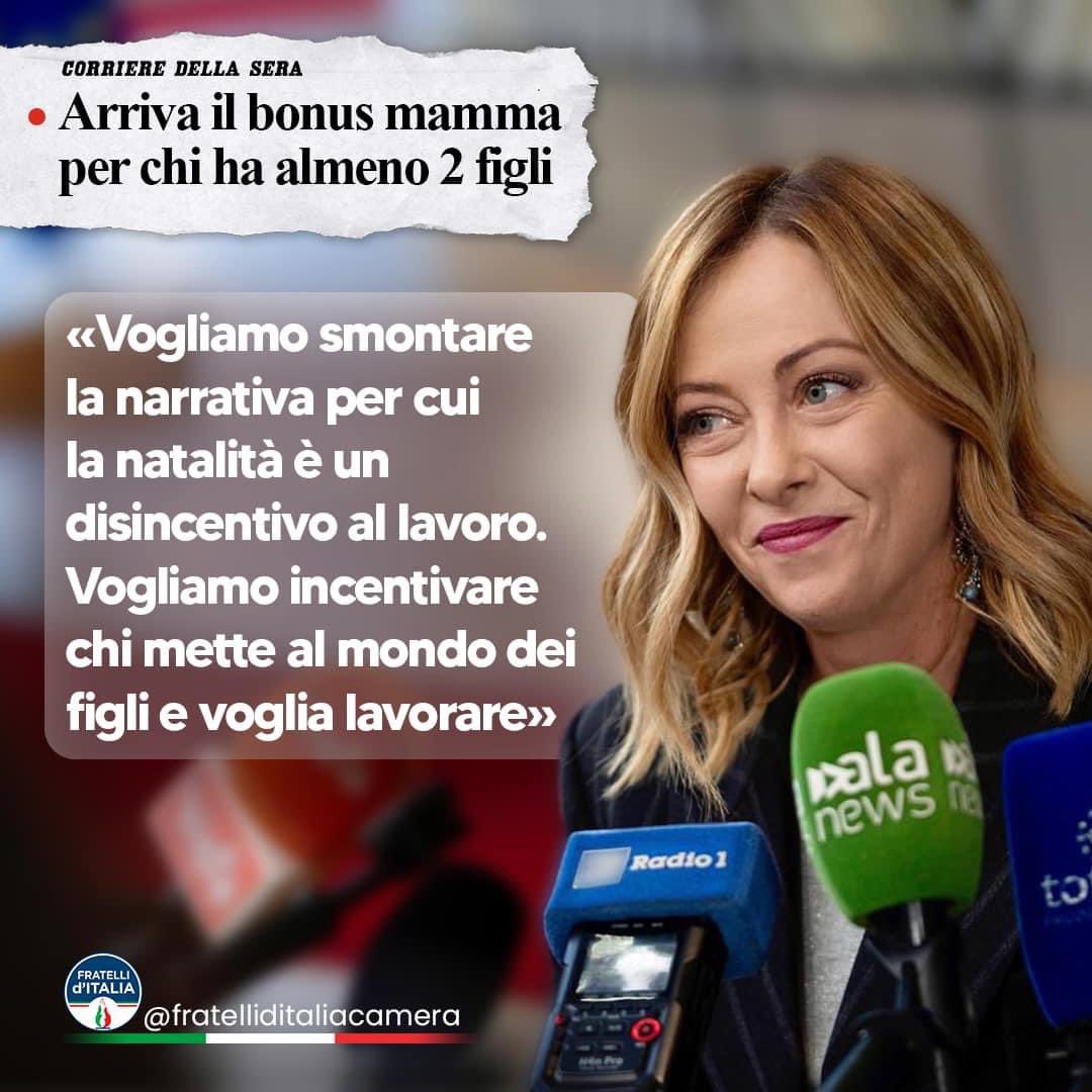 Tommaso Foti tweet media