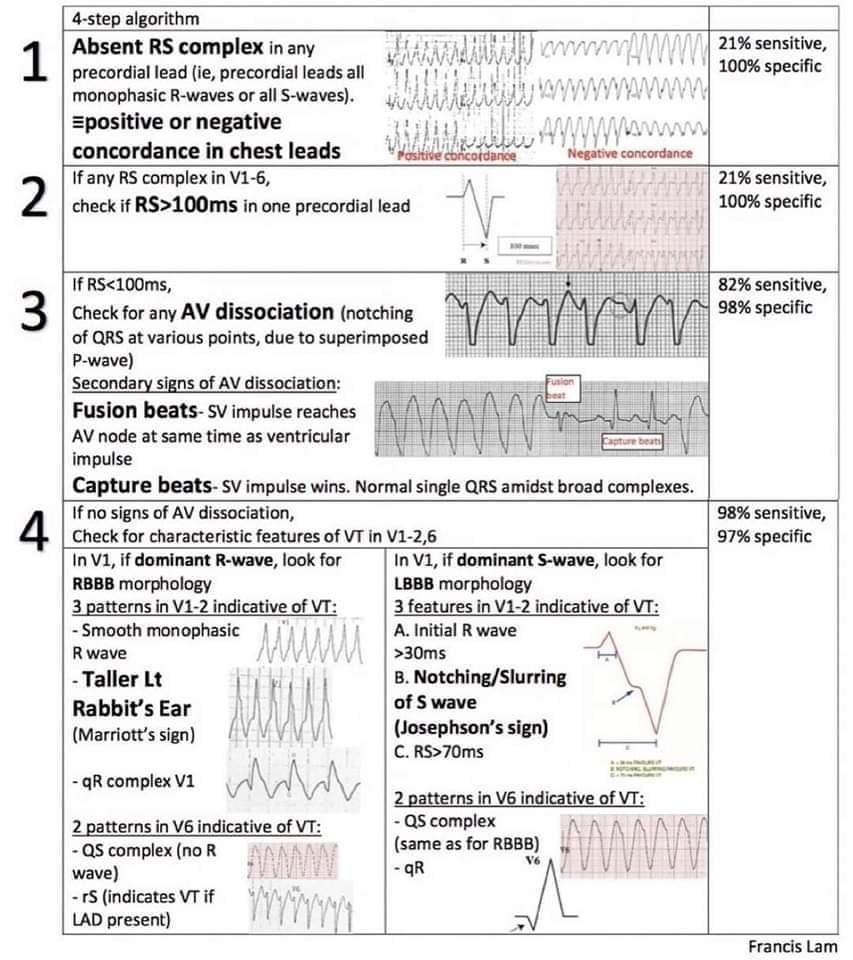 The Heart tweet media