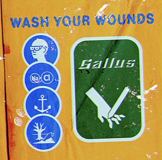 THERAPY? tweet media