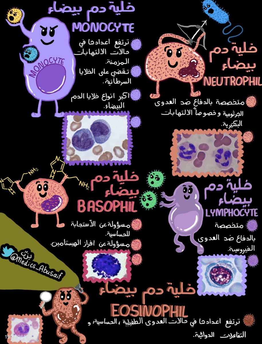 ملخص بسيط عن خلايا المناعة؛ خلايا الدم البيضاء🛡️