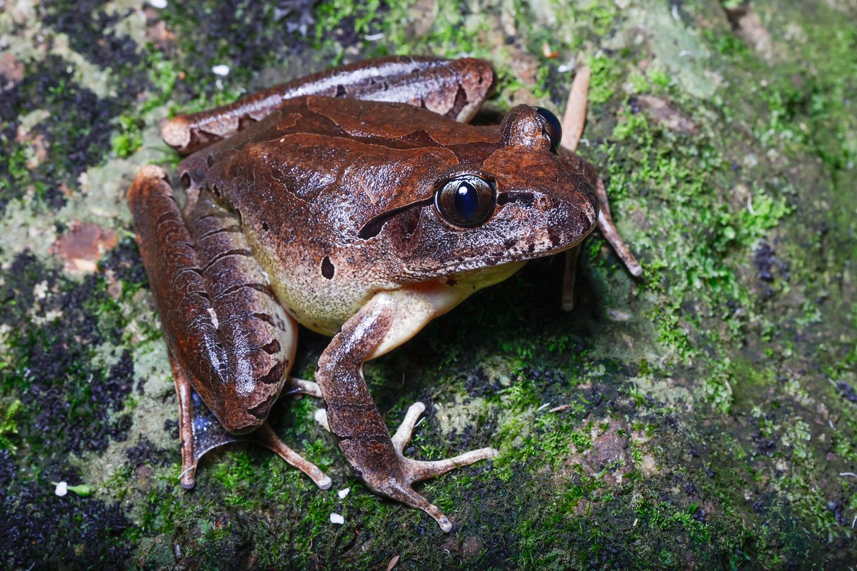 Dave Smith tweet media