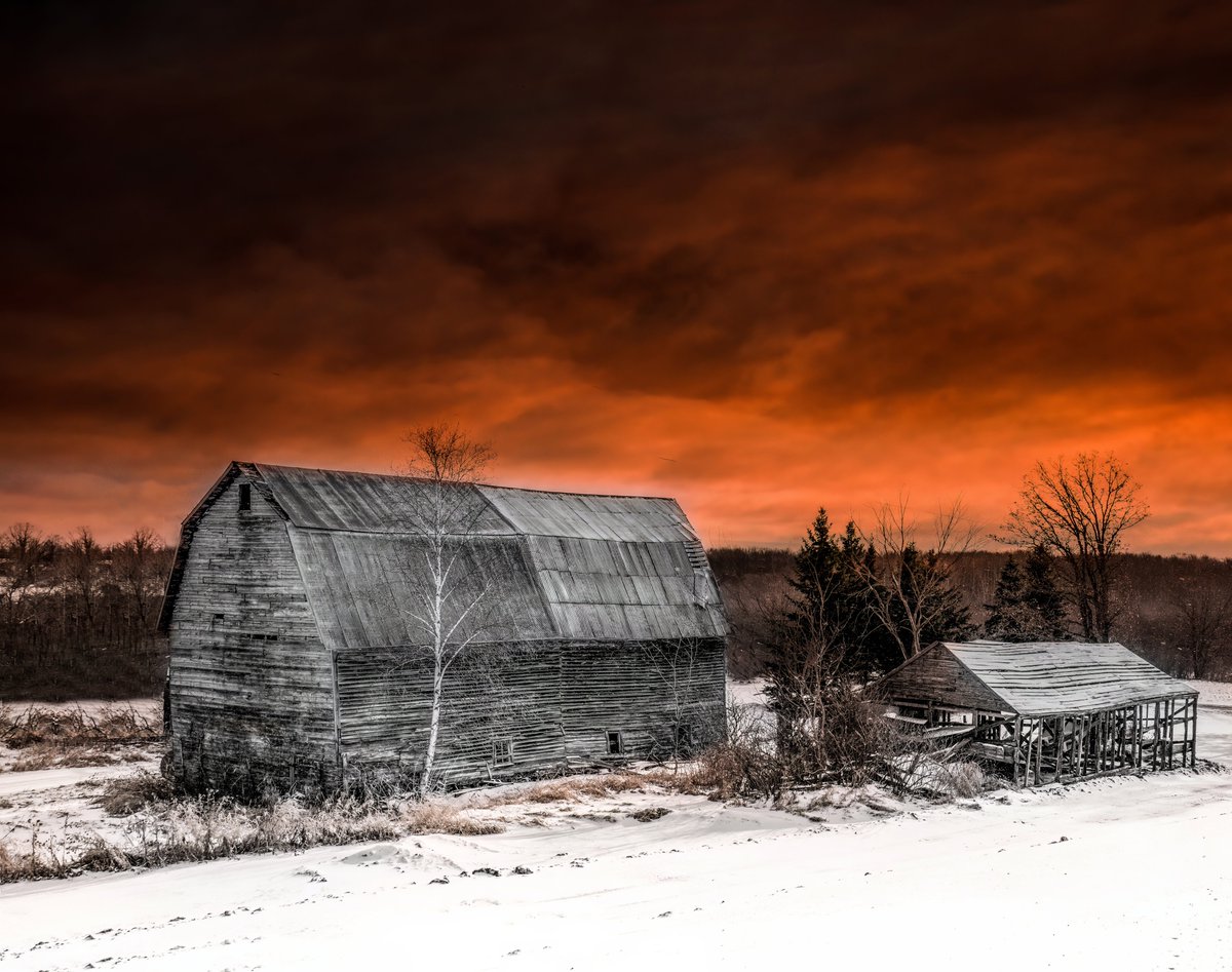 mnaussie2's tweet image. Growing Old Together

Old weathered barn and a companion shed  are deserted. Few, if any, people are still alive who would remember the days when the barn doors were opened wide for cattle to enter for food, shelter and the giving of their milk 

#nearlygone #MNbygonedays