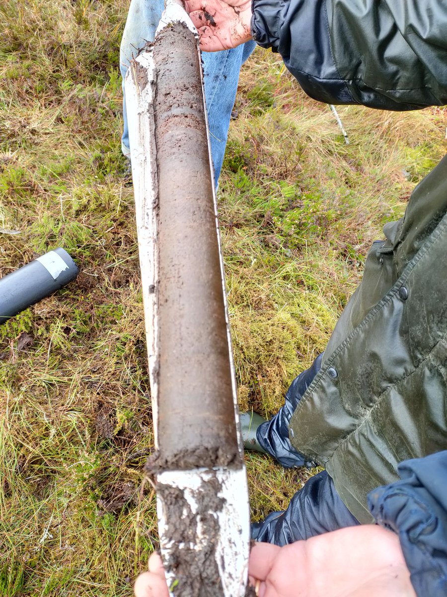 Lovely peat core from Ben Lawyers #WorldWetlandsDay2024