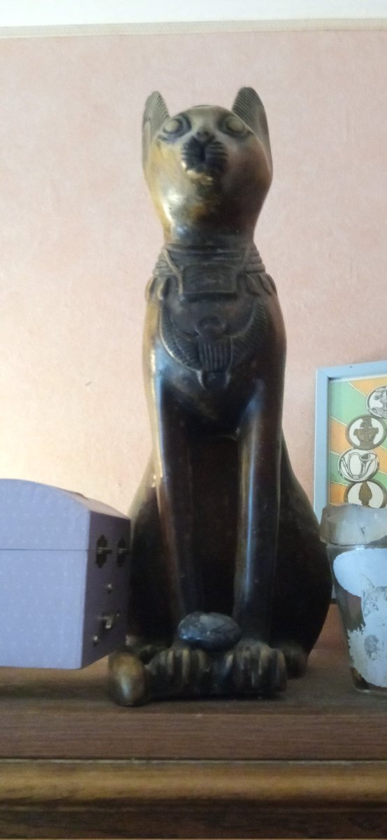 @ANPUemsaf_666 my Bastet. 45 cm, 7,5 kilos