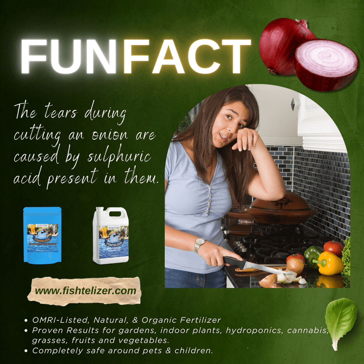 Fishtelizer's tweet photo. FUN FACT ABOUT PLANTS 📢🌱☀️ 🕵️♀️
Follow @fishtelizer for interesting content 😍😍
Shop Natural Fertilizer: https://t.co/RmUV3al8va
#fishtelizer #fishfertilizer #nitrogenrichfertilizer #fertilizer #nitrogenrichfertilizer #growplants #funfacts #plantsfacts #plantingfacts https://t.co/uvmbAObgsY