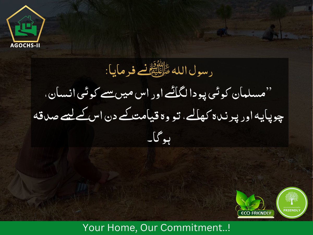 AgochsII's tweet photo. رسول اللہ ﷺ نے فرمایا:
”مسلمان کوئی پودا لگائے اور اس میں سے کوئی انسان، چوپایہ اور پرندہ کھا لے، تو وہ قیامت کے دن اس کے لیے صدقہ ہوگا۔
#gogreen #agochs #agochsii https://t.co/EeybhrJsiu