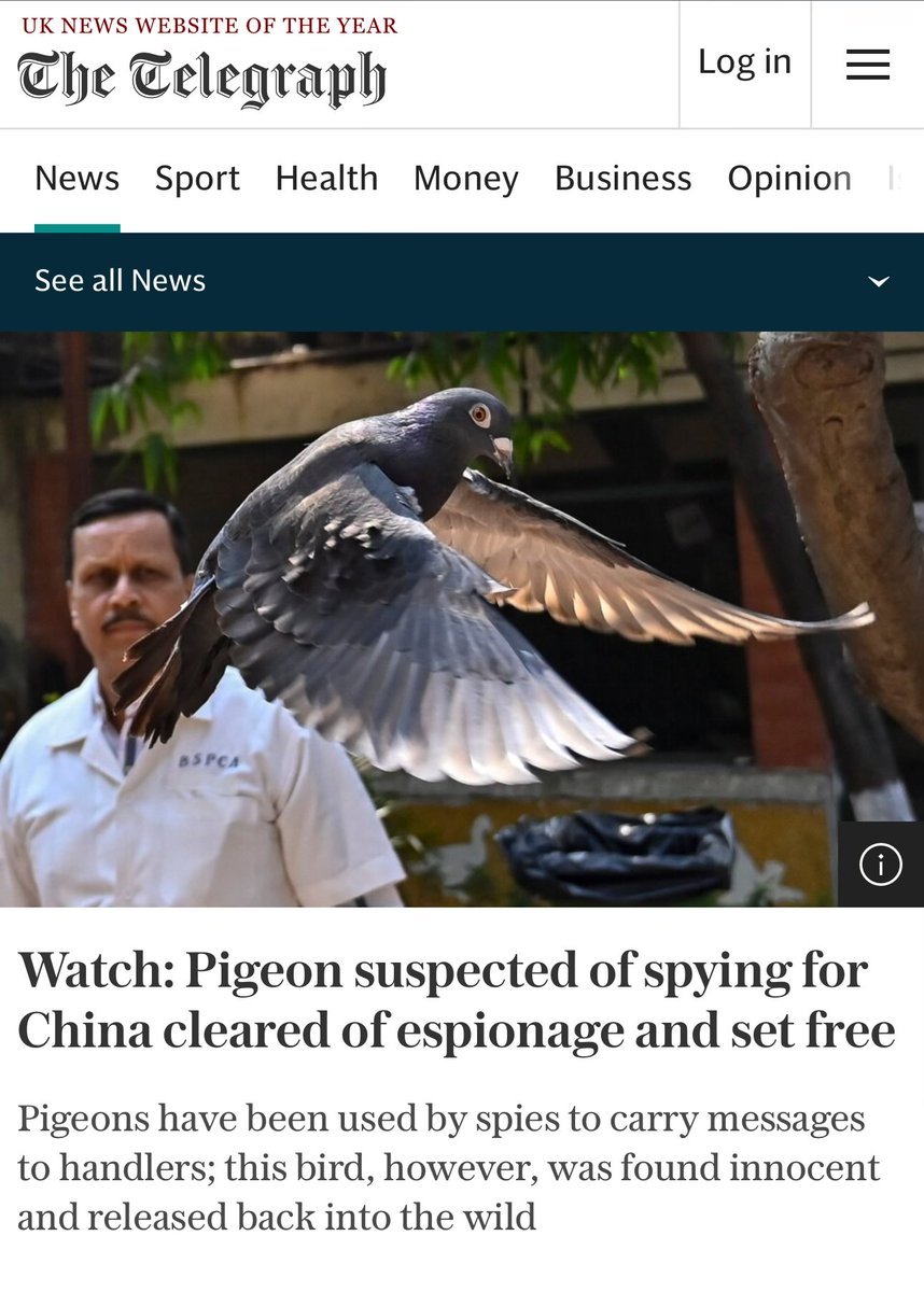 خبر غريب : الهند تقبض على حمامة وتخضعها للحبس والتحقيق لمده 8 شهور بتهمة انها جاسوسه صينيه، تم إطلاق صراحها اليوم 

نقلاً عن جريده تيليغراف البريطانيه