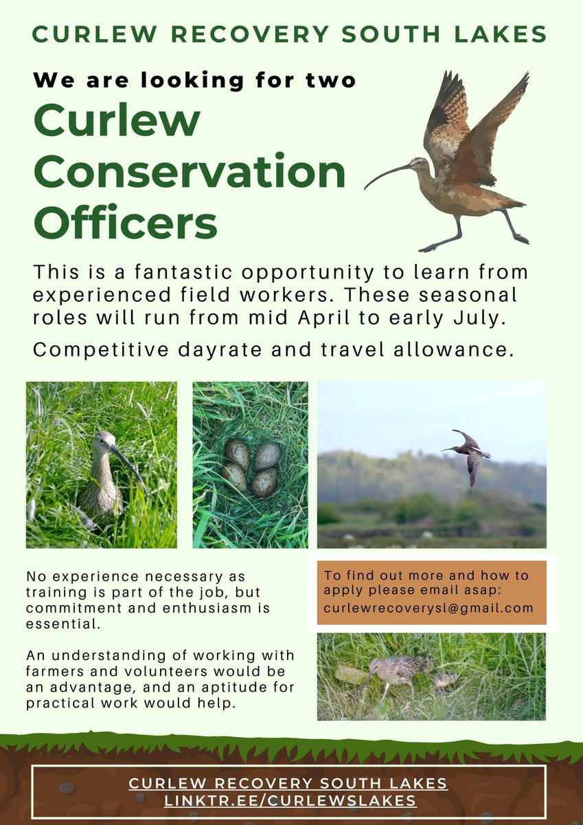 Curlew Recovery South Lakes (@curlewslakes) on Twitter photo 2 seasonal roles - we're looking for passionate, personable, practical fieldworkers - may suit early career/trainees. Apply by 20 Feb. Competitive day rate. Full details from curlewrecoverysl@gmail.com 2 seasonal roles - we're looking for passionate, personable, practical fieldworkers - may suit early career/trainees. Apply by 20 Feb. Competitive day rate. Full details from curlewrecoverysl@gmail.com