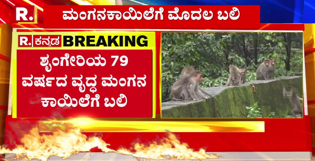 KannadaRepublic's tweet image. Monkey fever: ಚಿಕ್ಕಮಗಳೂರಿನಲ್ಲಿ ಮಂಗನಕಾಯಿಲೆಗೆ ಮೊದಲ ಬಲಿ

Watch #RepublicKannada🔴LIVE: bit.ly/3s5gwpp

#monkeyfever #monkeypox #chikkamagaluru #latestnews #kannadanews #republickannada
