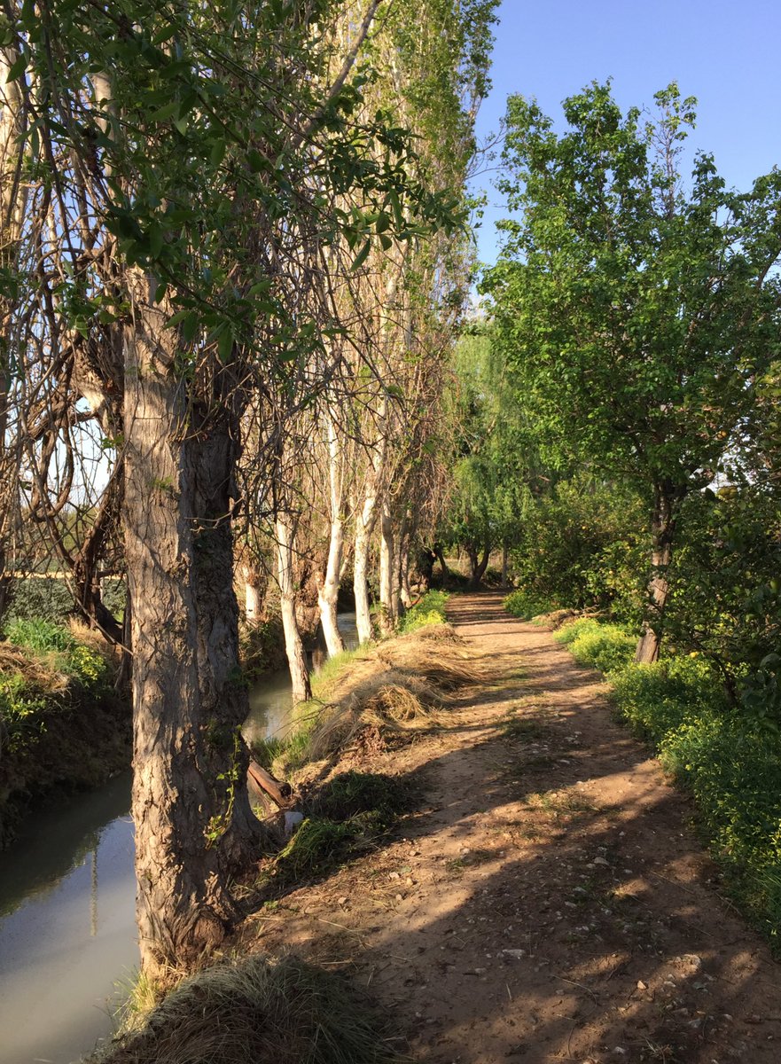 enunlugardelah1's tweet photo. 🍋   🧵ACEQUIAS 🧵

1️⃣ Santa Cruz

Este hilo es un alegato en defensa de las acequias de la #HuertaDeMurcia, su protección y conservación.

Vais a 👀 25 acequias, que no son norma sino excepción.

No nos podemos permitir entubar una sola acequia más porque están desapareciendo.⬇️ https://t.co/zuGOe9iYrn