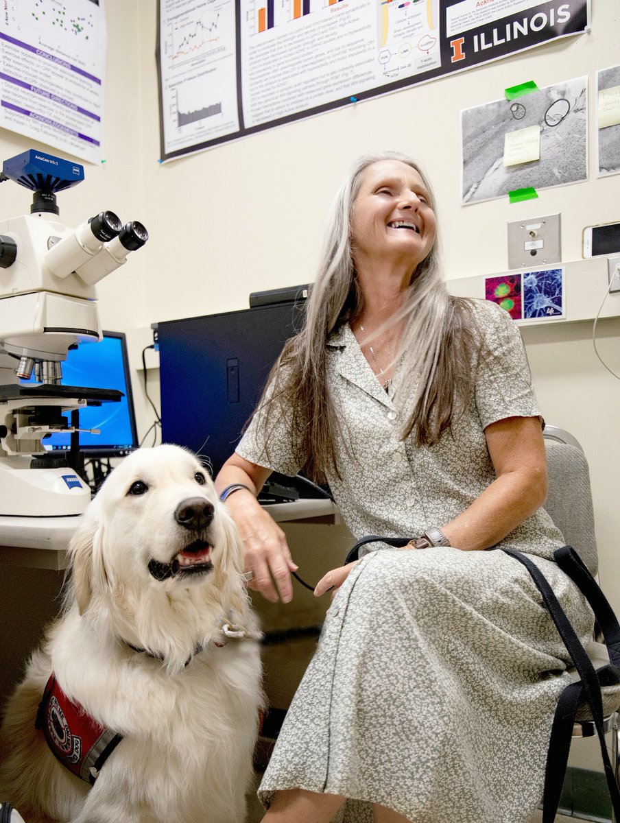 sampson_dog's tweet photo. Mom was asked if people with disabilities and service dogs can "really work in science?" 
........ and we laughed, and laughed, and laughed! https://t.co/O7rM4i3ey9