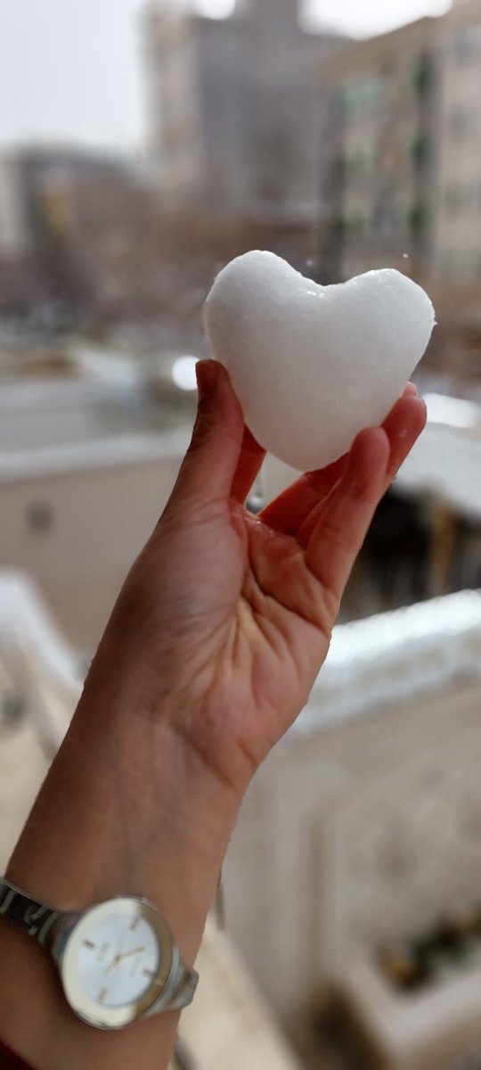 soure2kh's tweet photo. #SnowDay #snow #snow_heart 
good mood today https://t.co/h5hrzxZ0YH