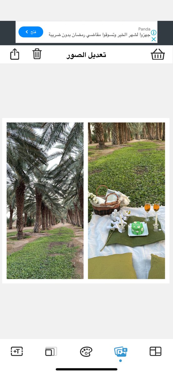 قريباً من هدوء الطبيعة، بعيداً عن صخب الحياة 
 أجد السعادة في مزرعة والدي رحمه الله التي قضيت فيها أجمل أيام طفولتي 🥺
اللهم بكل قطرة عرق سالت من أبي في سعيه من أجلنا ، أبدلها له حسنات ورفع درجات 🌱🌱