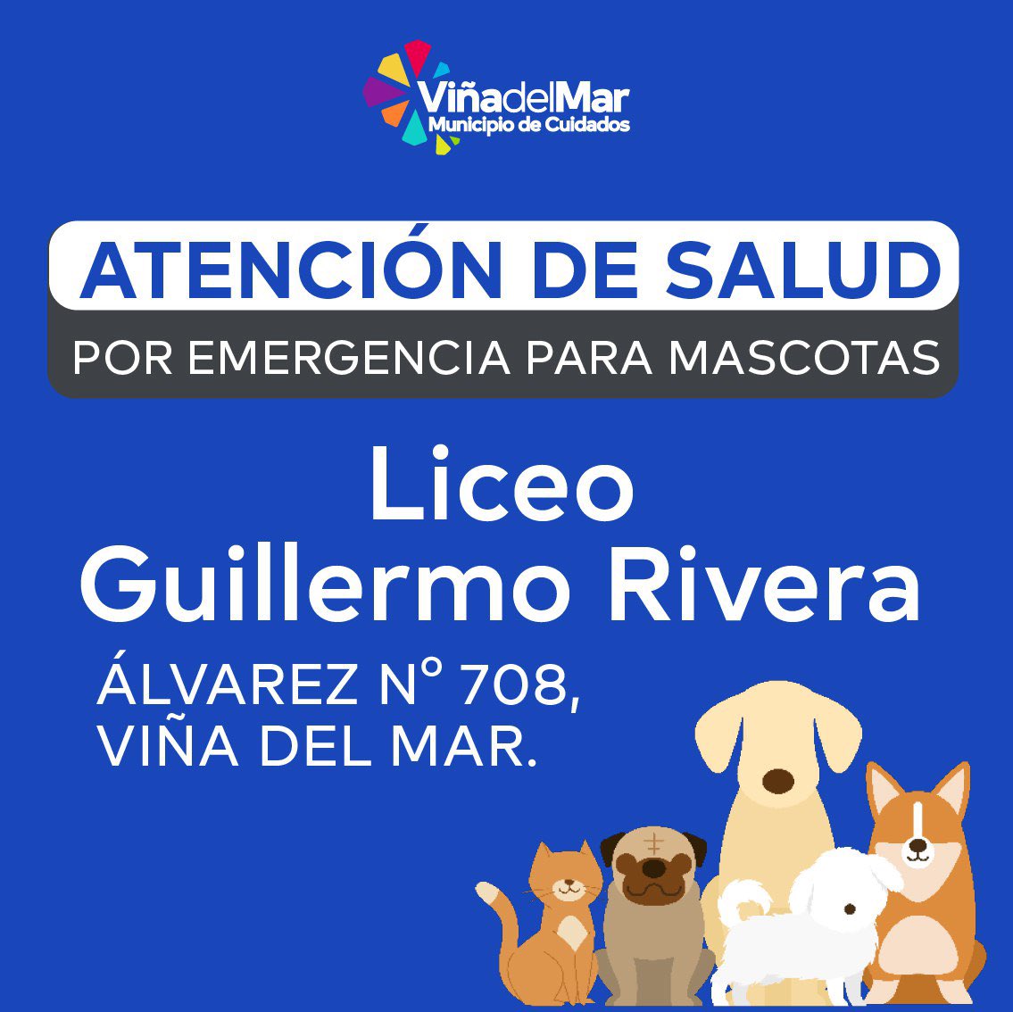 Municipio de Viña del Mar tweet media