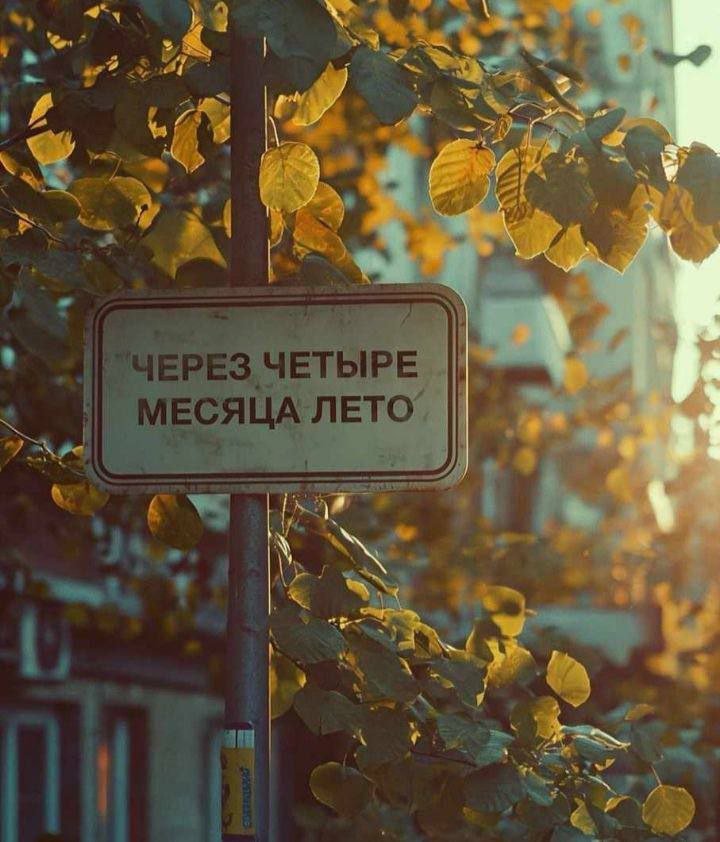 No Context Russia (@russia_nc) on Twitter photo 