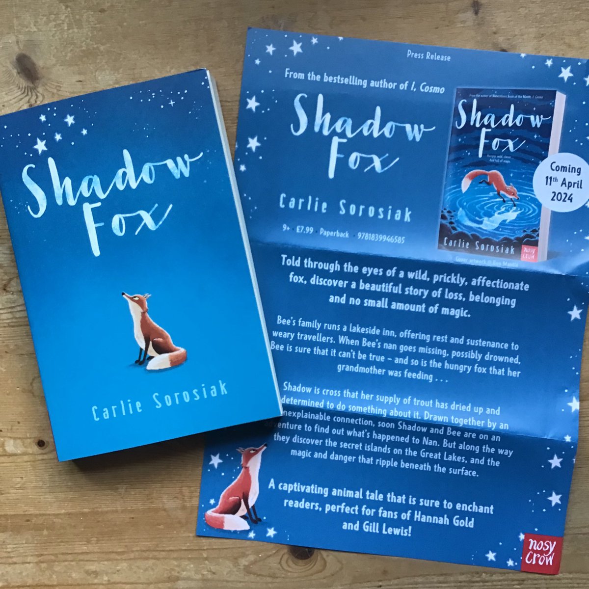 jacquiS21's tweet image. Super lucky today to receive this beautiful proof of #ShadowFox by @carliesorosiak. Cannot wait to read this gorgeous story of loss, belonging and magic told through the eyes of a wild fox. Out 11/04 for 9+ readers @thesianpages @NosyCrow 🦊