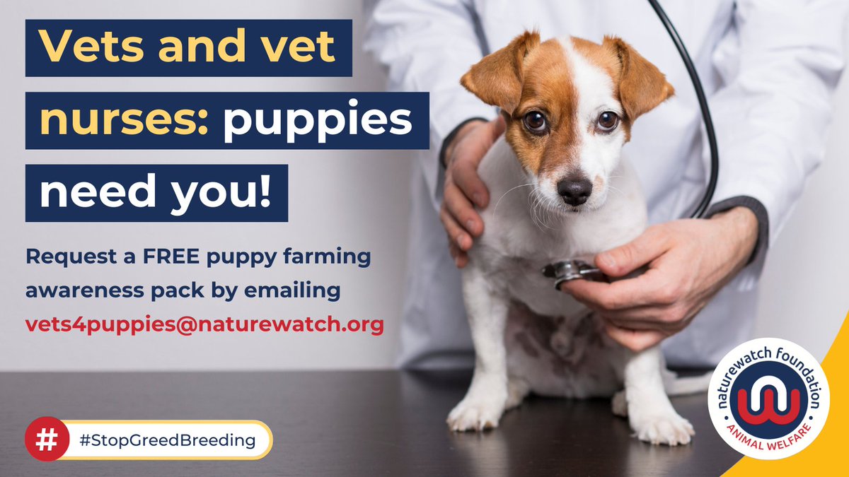 #Vets4Puppies is our unique campaign that provides veterinary practices with free informative materials on puppy farming for them to share with clients.

If you work at a vets and would like a pack, send an email to vets4puppies@naturewatch.org 🐶

#StopGreedBreeding