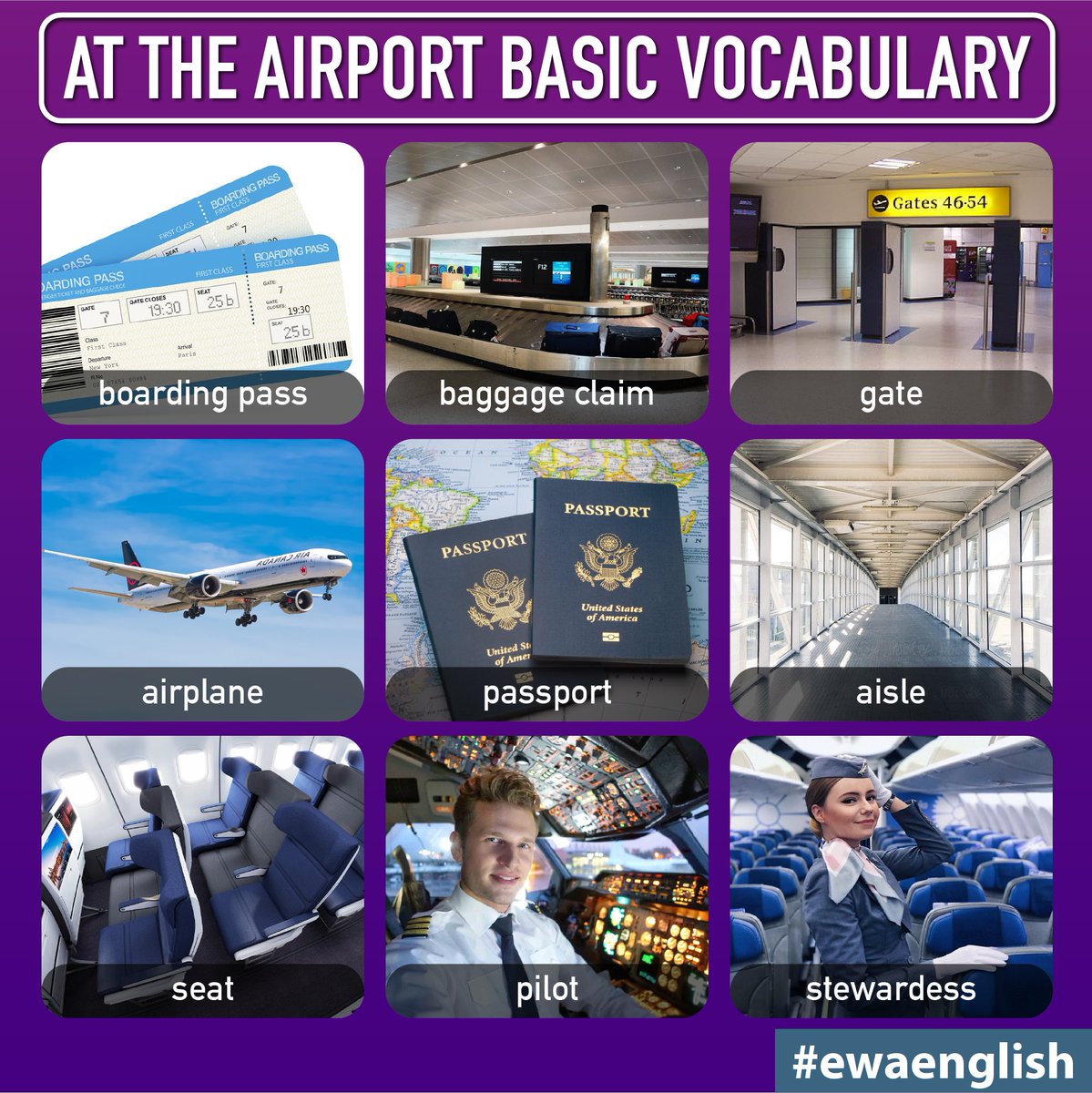 Ewa Learn Languages tweet media