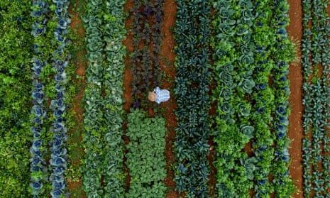 Earth_Changers_'s tweet photo. #InTheNews re. #sustainable #travel & #development:
1/ #Climate: #Food connects in #tourism. Our partners work on #responsible #consumption, production, #supply chain for #positiveimpacts > Move to #sustainable systems could bring $10tn benefits/year https://t.co/thlkldShPk #sdg2 https://t.co/7vWpIy5eOt