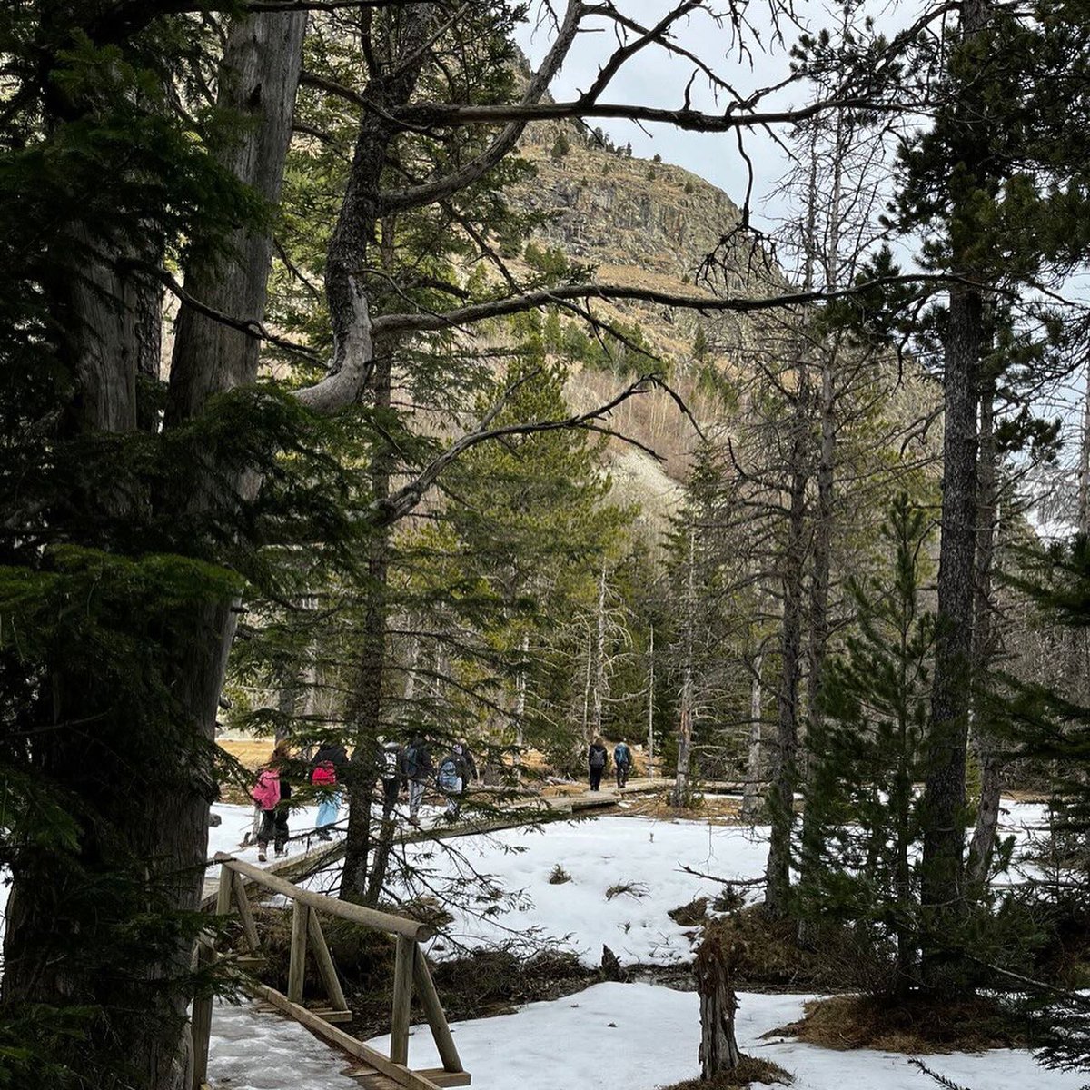 InstitutSantPol's tweet photo. #1BAT hem calculat la biomassa d’un bosc com a recurs energètic i visitat el parc nacional d’Aigüestortes i Estany de Sant Maurici x analitzar la perdi lloseta de les allaus i la duresa de la vida a alta muntanya en general https://t.co/CFa6mtDL52