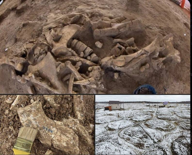 Bones of unknown animals millions of years old were found in Yakutia, Russia

In the Churapchinsky District, scientists have discovered a site of ancient humans dating back at least 30,000 years. During the excavations, bones of unknown animals were found.

Radiocarbon dating of…