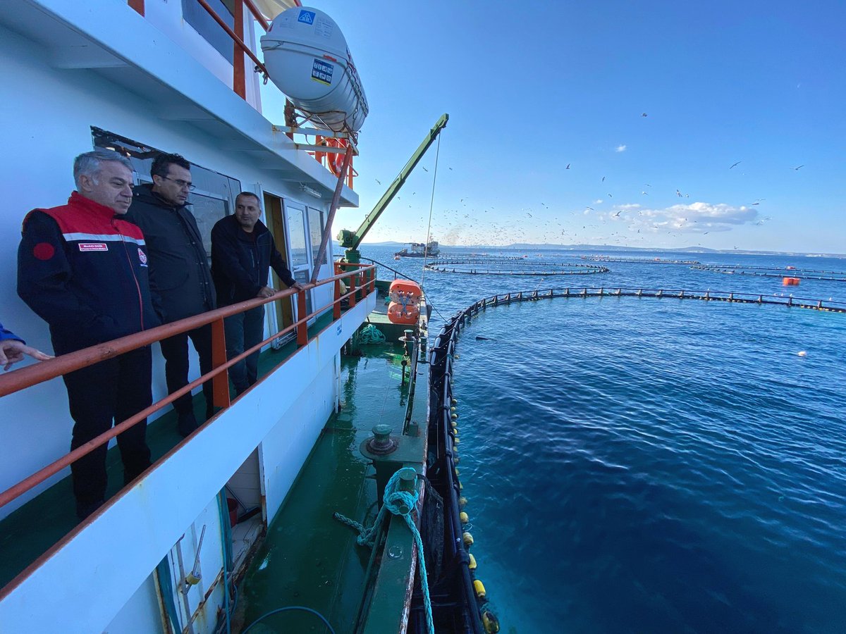 izmirtarim's tweet photo. Ülkemizde sadece Karaburun körfezinde yetiştiliciliği yapılan,bir çok ülkeye ihraç edilen  mavi yüzgeçli orkinos  çiftliklerinde İl Müdürümüz @MstafaSahin44 ,Balıkçılık ve Su Ürünleri Şube Md. @bulentcanatan40 incelemelerde bulundu.
@ibrahimyumakli 
@drsuleymanelban 
@TCTarim https://t.co/5nkBsCfQHx