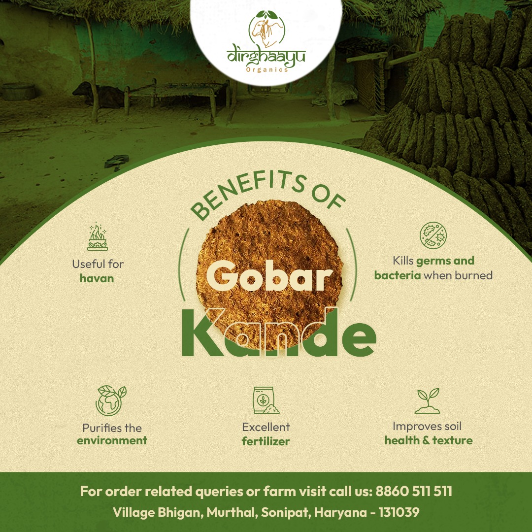dirghaayufarm's tweet photo. Gobar Kande, is a symbol of rural wisdom and eco-friendly practices. As the earthy aroma of our organic cow dung cake made from desi cow dung mixed well with gomutra spreads in your space

#dirghaayu #livelongnaturally #gobarkande #ecofriendly https://t.co/l0u58dVrIM