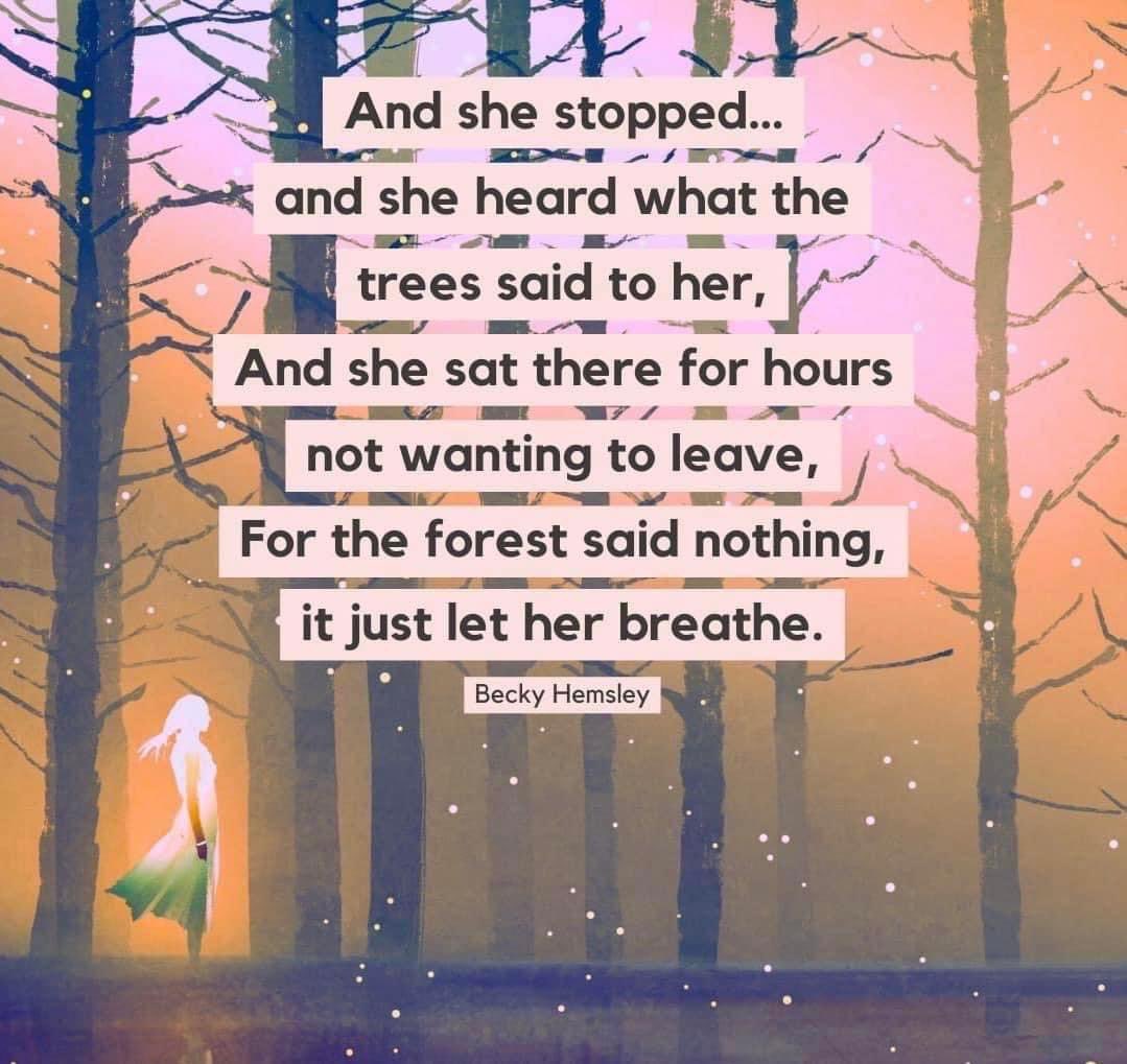 helenajbee's tweet image. #trees #nature #spacesforlistening #justbreathe