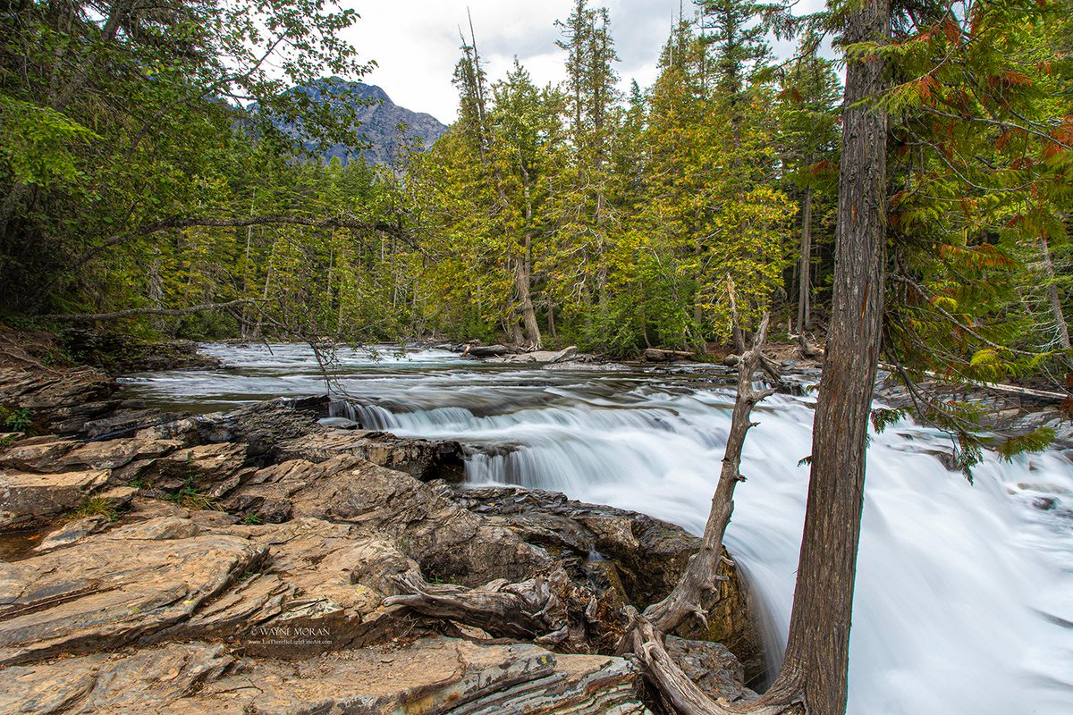 McDonald Falls Glacier National Park

fineartamerica.com/featured/3-mcd…

#McDonaldFalls #waterfalls  #goingToTheSunRoad #glacierNationalPark #NationalPark #wild  #art #nature  #Mountains #Hiking #naturephotography  #travel  #travelphotography #landscapephotography #buyintoart #Ayearforart