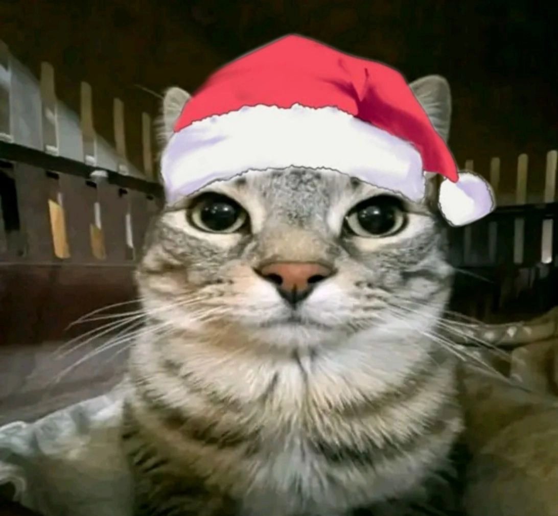 Gasheta05's tweet photo. @ADESuUnite Vamos Adesu, a darle con todo 😺 https://t.co/RtjLgnwiMD