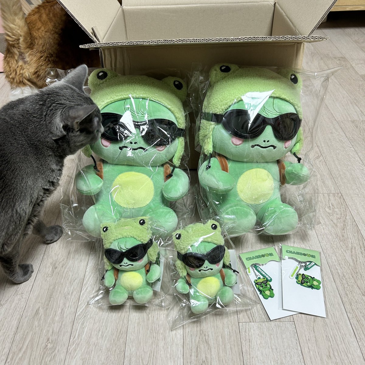 chaegooramy's tweet photo. 아악 o̴̶̷̥᷅⌓o̴̶̷᷄
채부기 너무 기엽자너...
채부기가 멍꼬보다 살짝 큰 느낌이야,,🥹
아 징짜 너무 귀여워... https://t.co/1aikx5KyZY