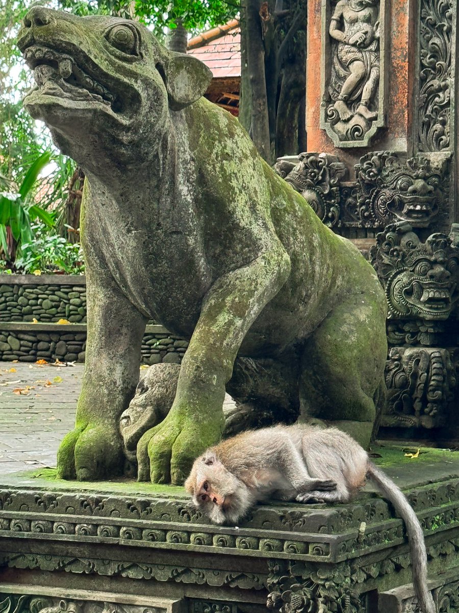 Me, thinking about going home tomorrow bc vacay is over and I can’t stay in Bali forever 😭